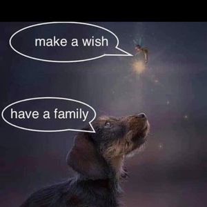 Meet your Posher, Maureen